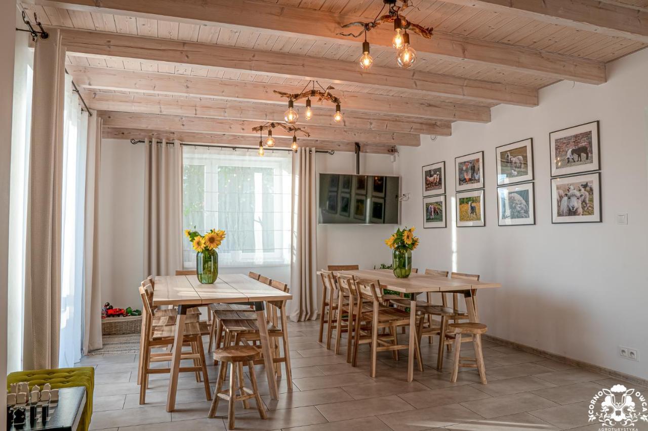 Agroturystyka Corno Owca Zabnica Exteriör bild