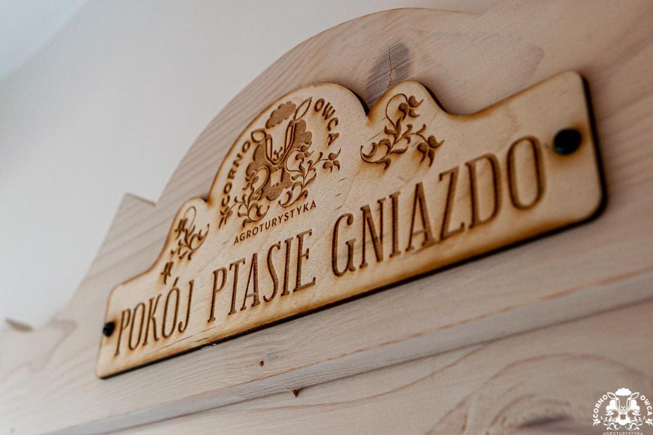 Agroturystyka Corno Owca Zabnica Exteriör bild