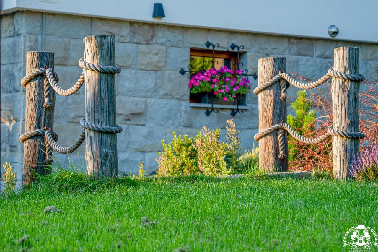 Agroturystyka Corno Owca Zabnica Exteriör bild